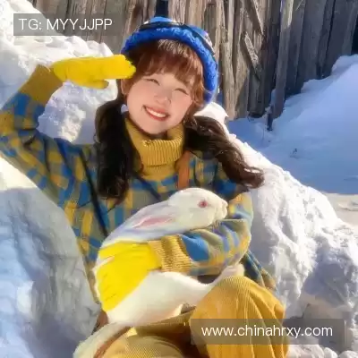 申英芝